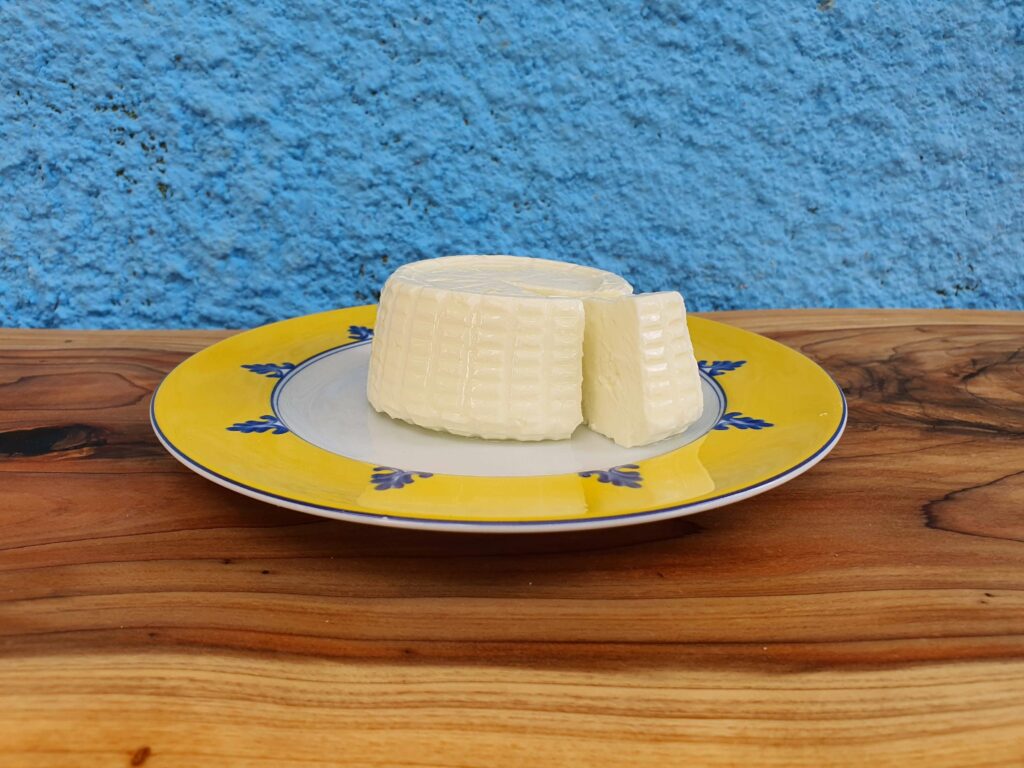 queijo frescal (1)