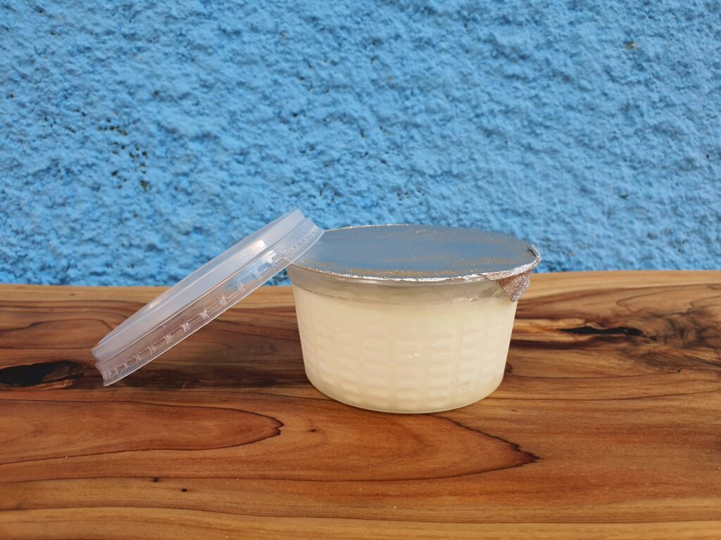 queijo frescal (3)