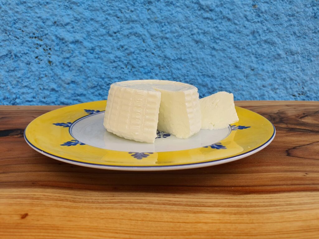 queijo frescal (4)